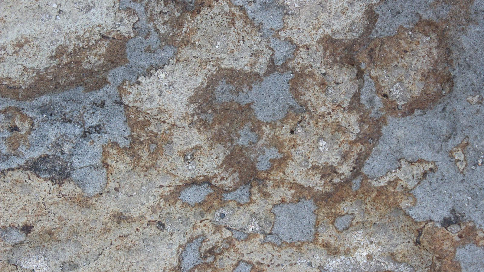 granodiorite-gramitoid-japan-chris-wilmar-architect-for-wilmar-schutz